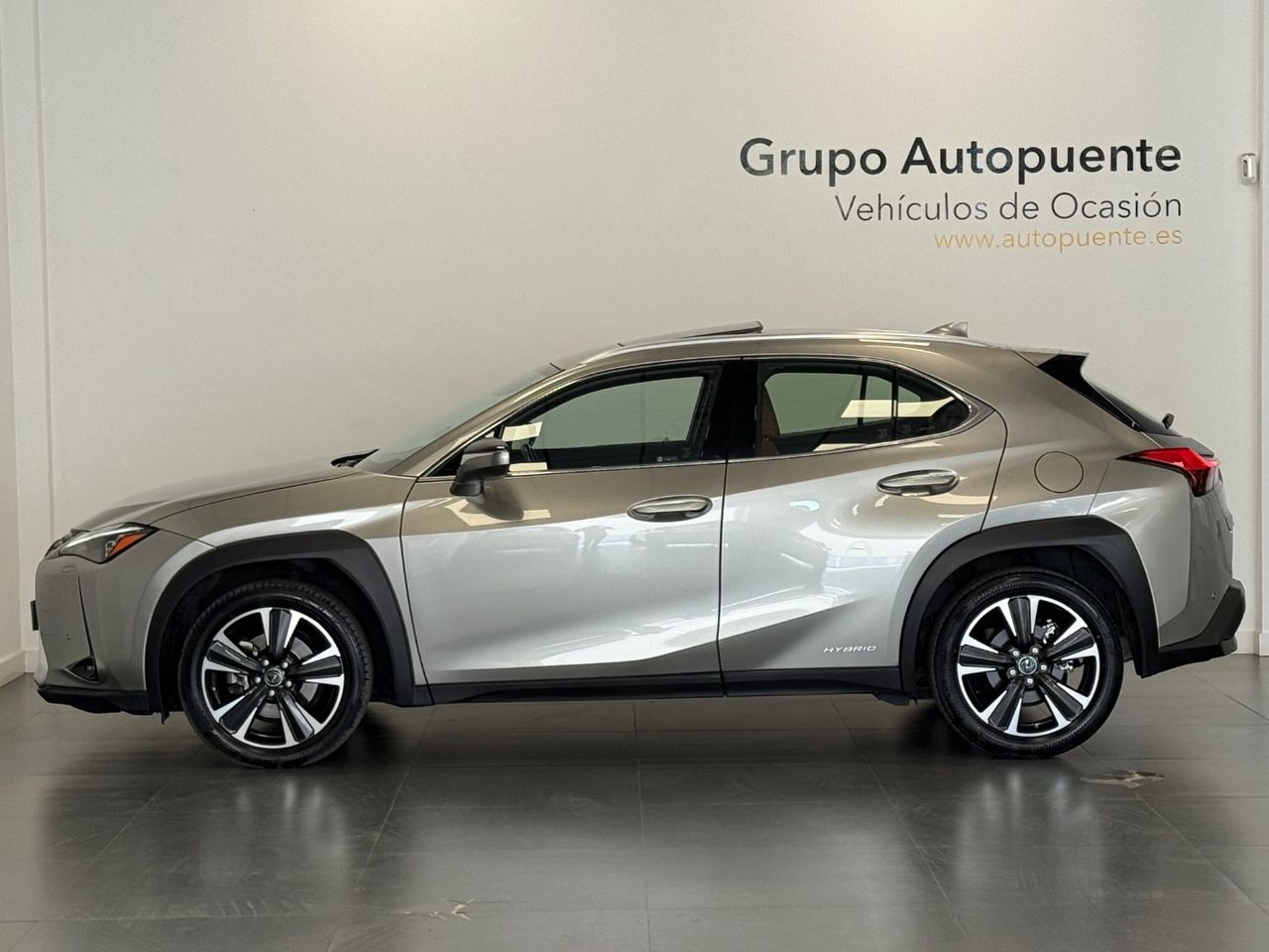 Lexus UX LUXURY foto 6
