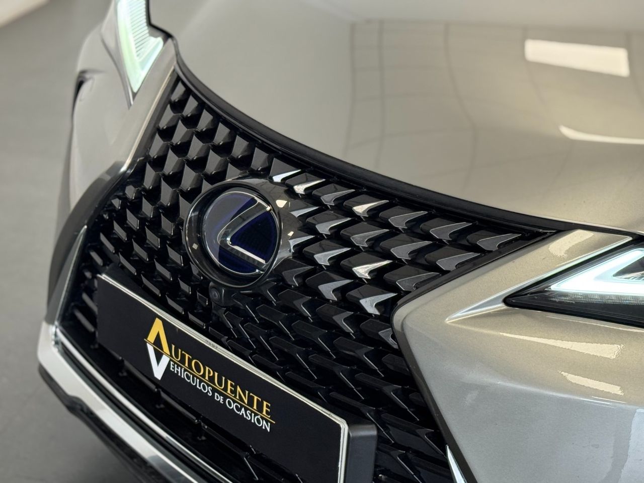 Lexus UX LUXURY foto 50