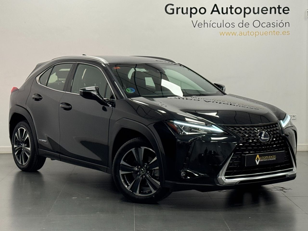 Lexus NX UX 250H PREMIUM foto 2