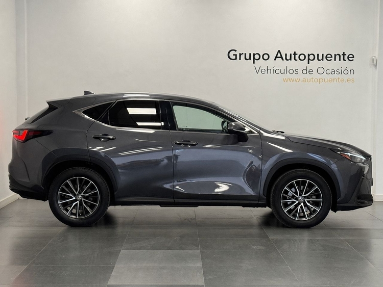 Lexus NX 350H BUSINESS CITY foto 3