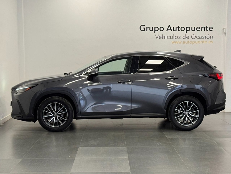 Lexus NX 350H BUSINESS CITY foto 6