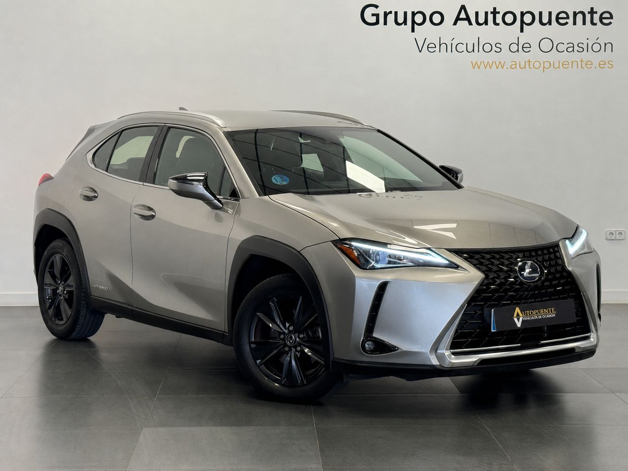 Lexus UX 250H BUSINESS foto 2
