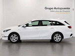Kia Ceed DRIVE 1.6 MHEV  miniatura 6