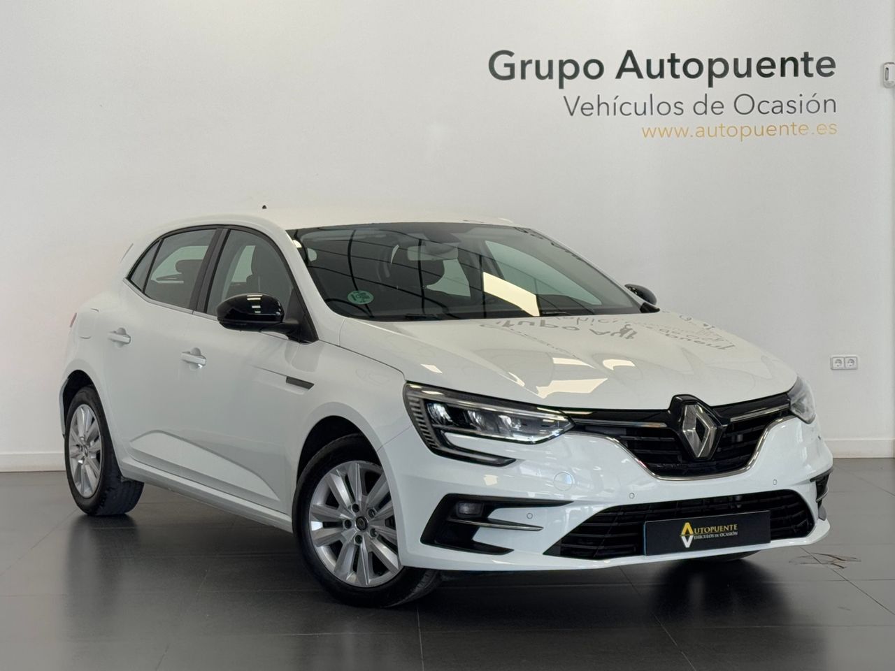 Renault Megane BUSINESS BLUE DCI foto 2