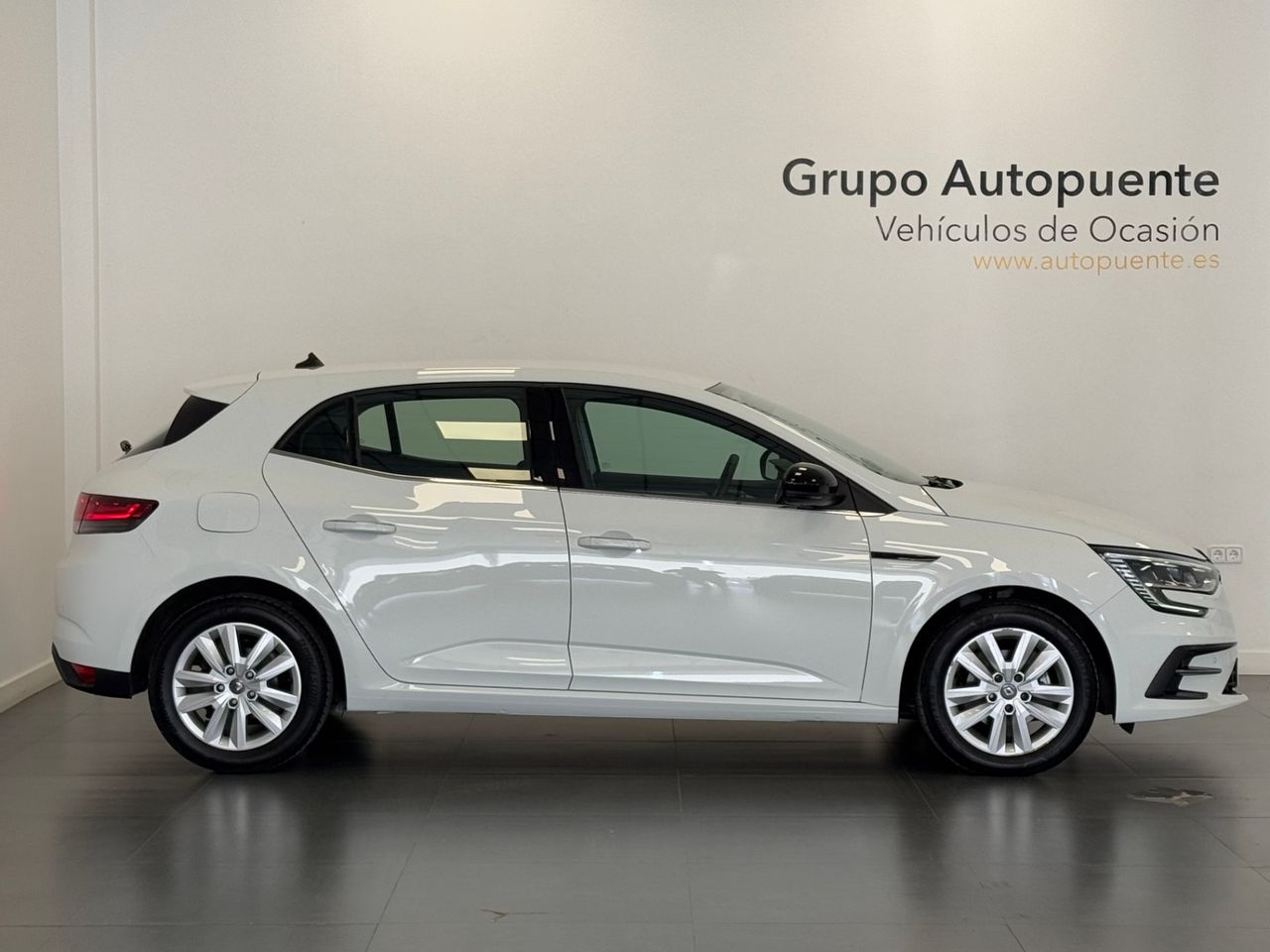 Renault Megane BUSINESS BLUE DCI foto 3