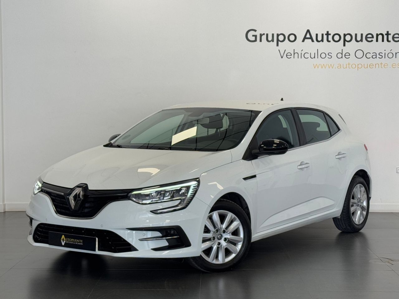 Renault Megane BUSINESS BLUE DCI foto 7