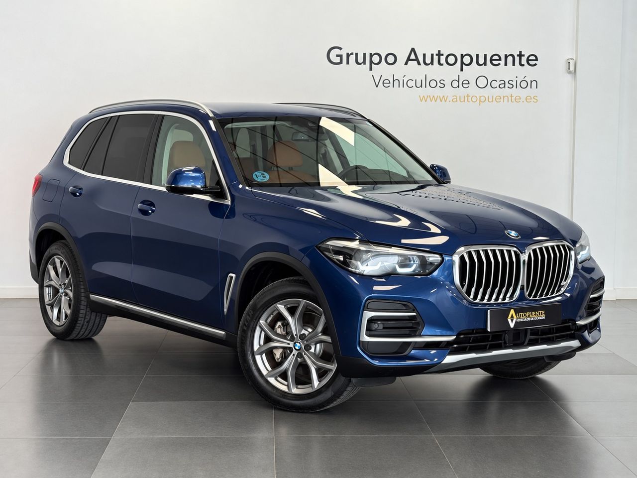 BMW X5 XLINE XDRIVE 25D foto 2