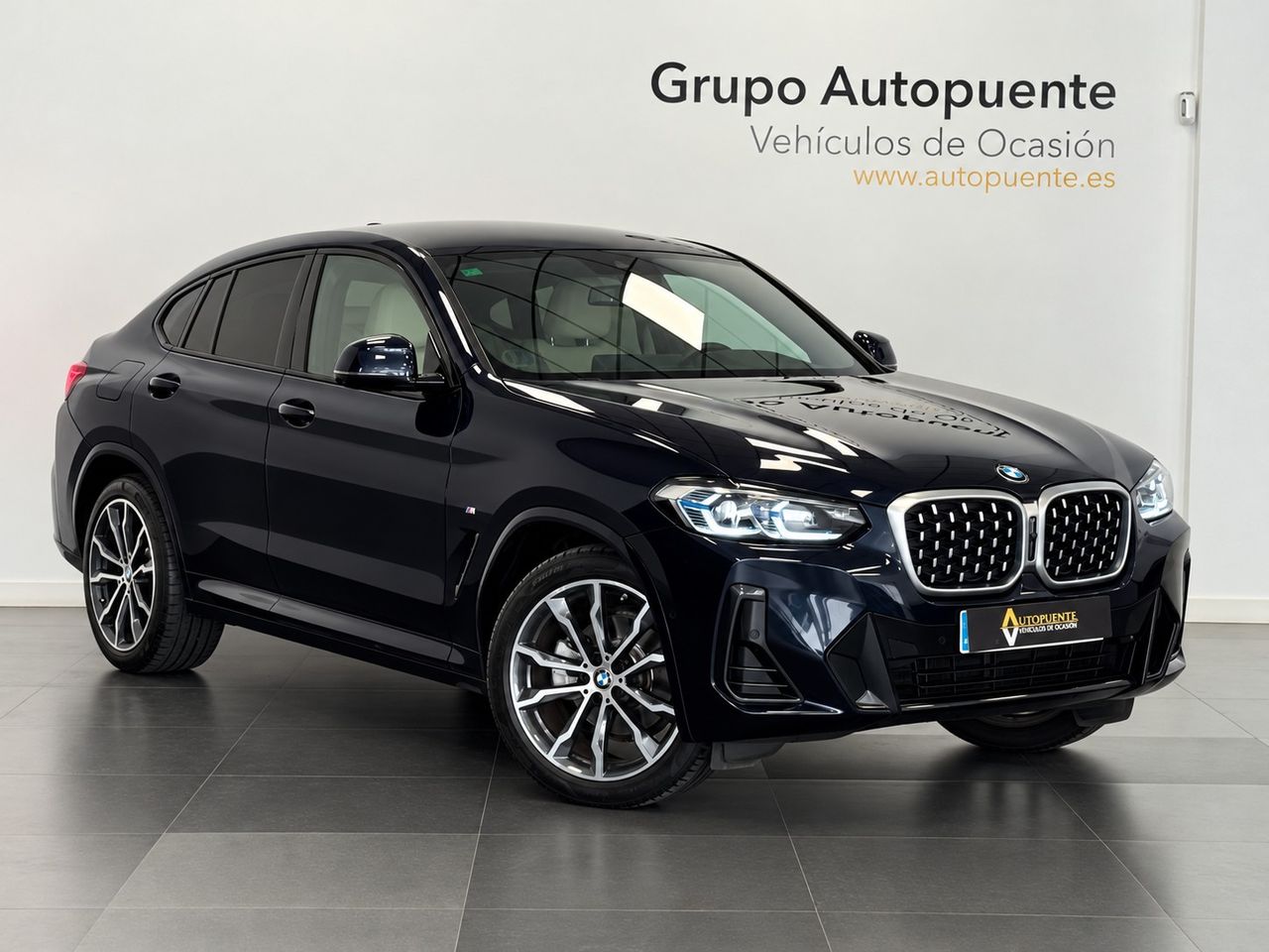 BMW X4 XLINE  miniatura 2