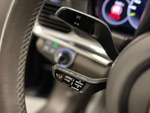 Porsche Panamera 4 E-HYBRID PLATINUM EDITION miniatura 18