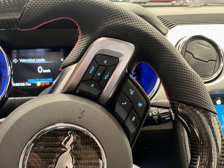 Ford Mustang ECOBOOST foto 24