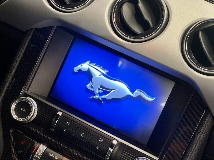 Ford Mustang ECOBOOST foto 39