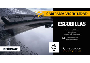 Escobillas